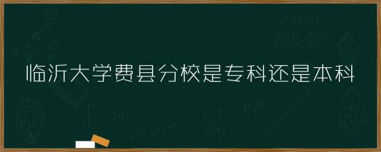 临沂大学费县分校是专科还是本科